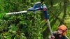 BOSCH 06008D5000 GHE 18V-50T Teleszkópos sövényvágó (akku és töltő nélkül), kartondobozban