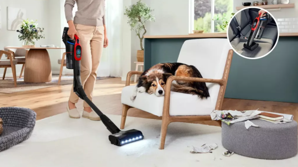 BCS1041PET_blog_kep.png