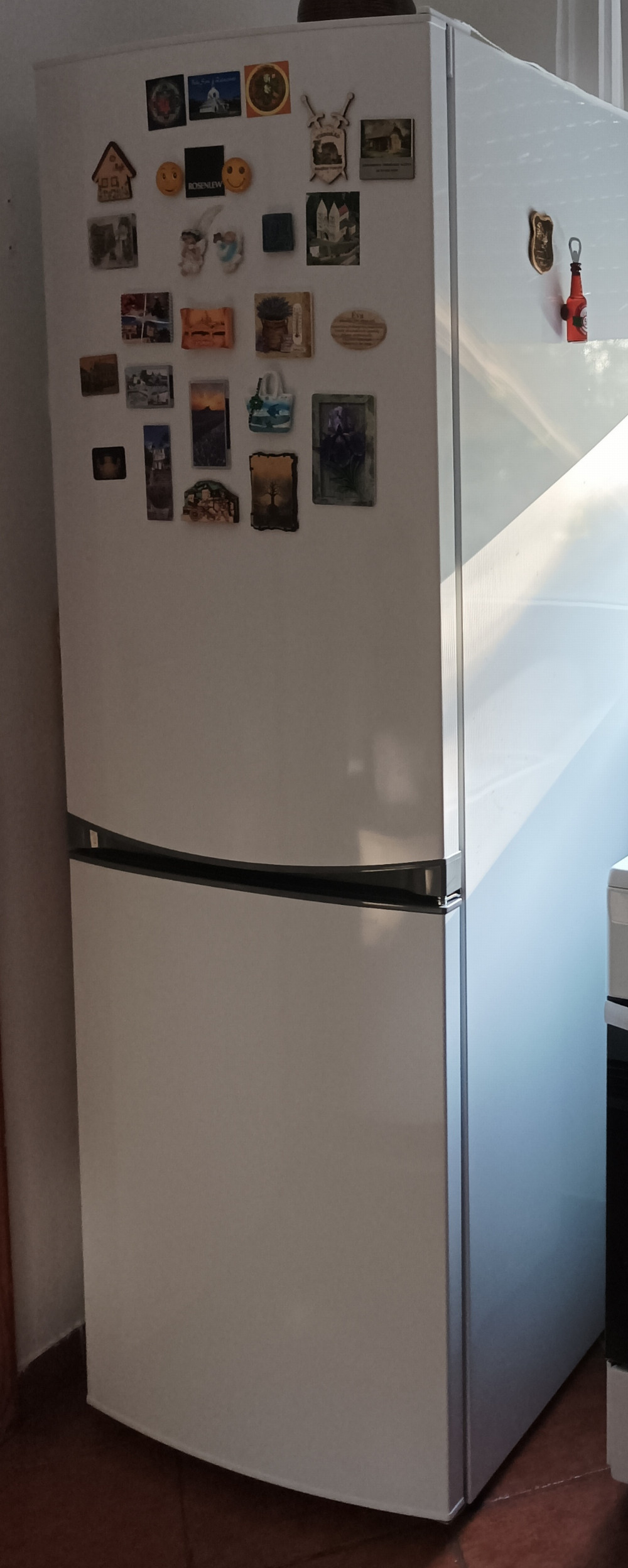   ZANUSSI Rosenlew RJP4547 Szabadonálló kombinált alulfagyasztós hűtőszekrény | 221/110 l | 185 cm magas | 59.5 cm széles | Fehér
